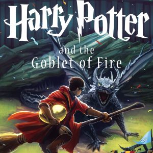 Harry Potter And The Goblet Of Fire BookZyfa