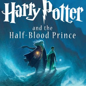 Harry Potter And The Half-Blood Prince BookZyfa