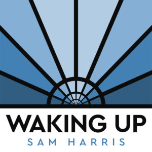 Waking Up - A Meditation Course BookZyfa